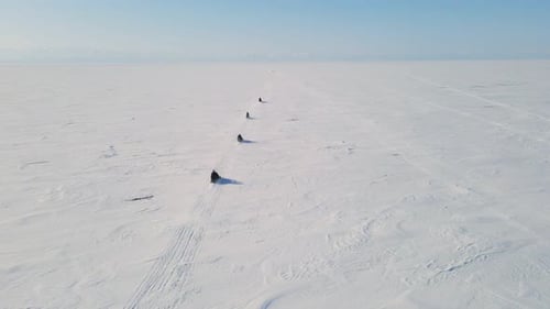 Snowmobiles Ride Across Open Snowy Landscape