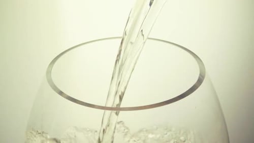 White Wine on a White Background