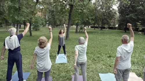 Seniors Exercising with Instructor in Sunny Park