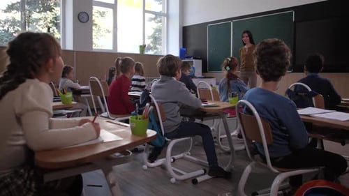Diverse Primary School Students Listening Teacher