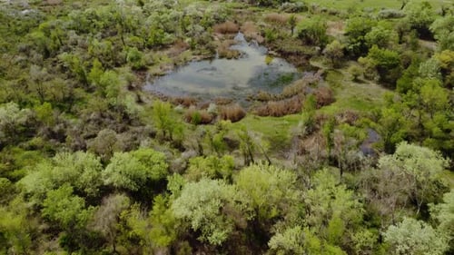 Lake Aerial View