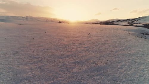 Drone Shot of Birds in Snowy Winter Landscape