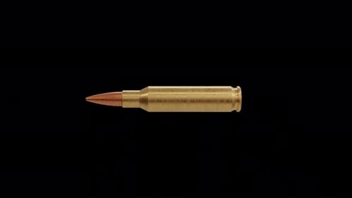 Bullet Plattenspieler Loop