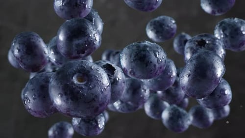 Close up of fresh blueberries moving around