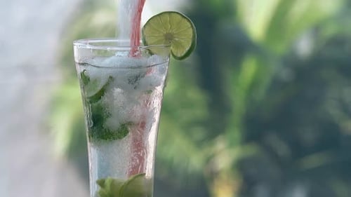 Cool Mojito Cocktail with Lime and Mint