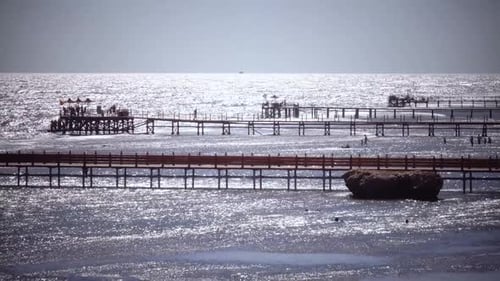 People Are Standing on the Dock Near an Open Ocean