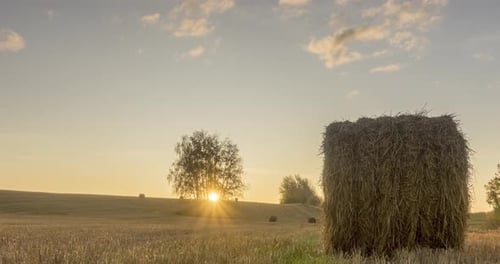 Flat Hill Meadow Timelapse at the Summer Sunset Time