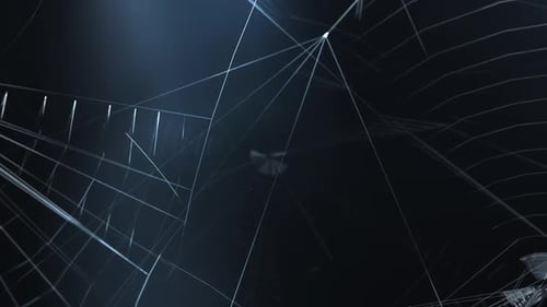 Camera Flies a Scoop of Web Networks in the Attic
