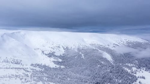 Beautiful Winter Landscape with Snow Covered Trees