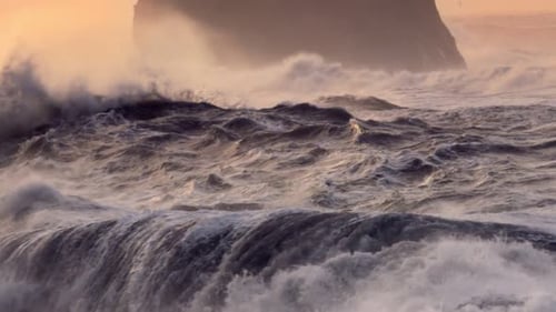 Ocean