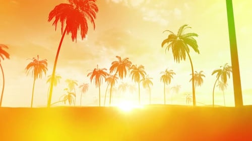 Sommer-Sonnen-Hintergrund