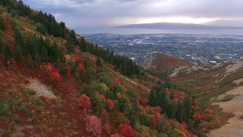 Aerial view of Fall color on landscape of foliage.