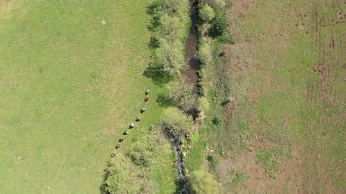 Trekking By The Creek In Aerial View