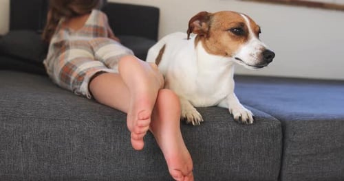 Girl Lying on Sofa with Jack Russell Terrier