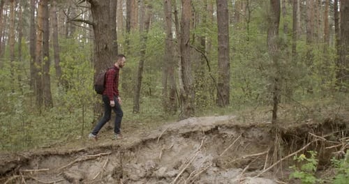 Caminhadas Homem na Floresta