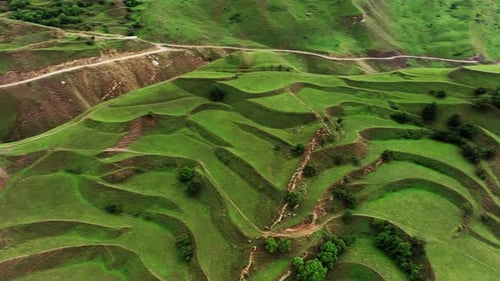 Beautiful Mountain Green Fields Terraces