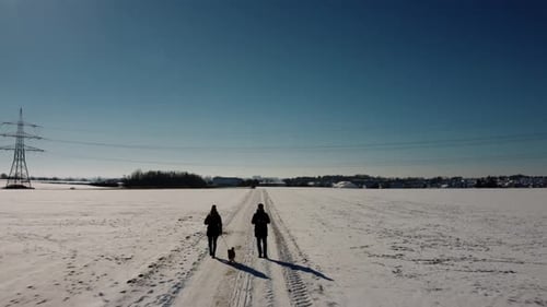 Couple takes a dog for a walk on snowy day with blue sky and sunshine