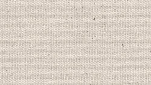 Seamless Looped Canvas Background