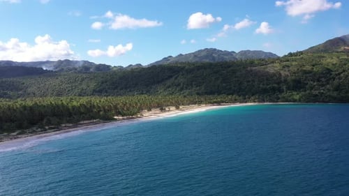 4k 30fps A Sunny Day In The Caribbean Beach With Palmstree And The Waves 6