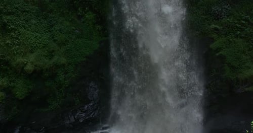 Scenic Waterfall in Tropical Lush Green Rainforest