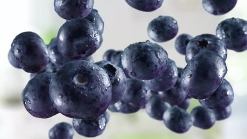 Fresh Blueberries Floating in Slow Motion