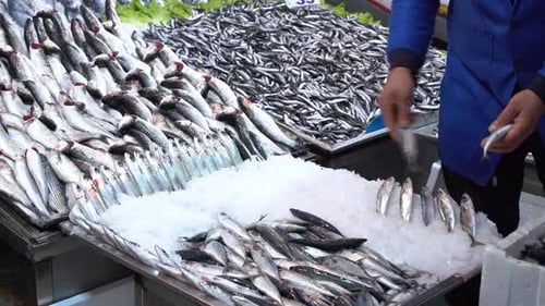 Fischmarkt und Fischhändler.