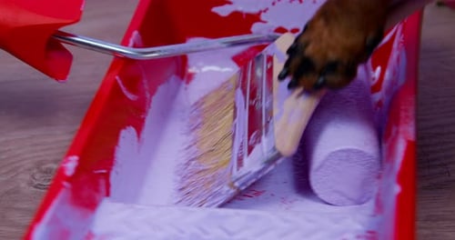 Animal Paw Painting with Roller and Brush