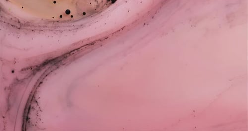 Amazing Multicolored Pink Bubbles of Paint on the Oil Surface