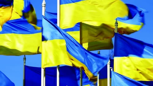 Blue and Yellow Flags Waving in the Wind