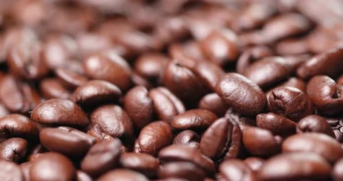 Extreme Close Up of Fresh Roasted Coffee Beans