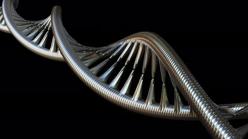 Metal DNA Molecule Model