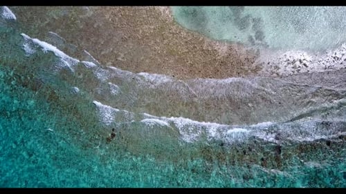 Aerial above seascape of paradise sea view beach wildlife by aqua blue water and white sand backgrou