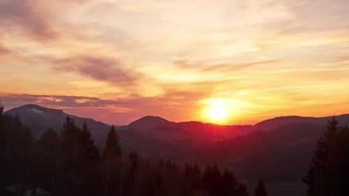 Orange Sun Setting Over the Forest Landscape