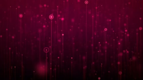 Red Digital World 4k