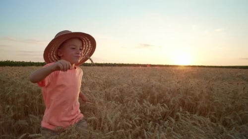 A Child Boy Runs Through a Wheat Field