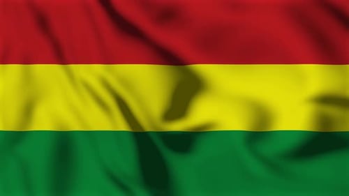 Seamless Loop of Waving Flag with Red Yellow Green Stripes
