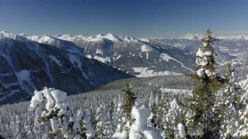 Aerial Flying Close Over Trees With Deep Snow in Winter Mountains