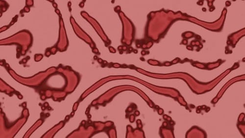 Abstract Fluid Red Organic Microscopic Pattern Animation