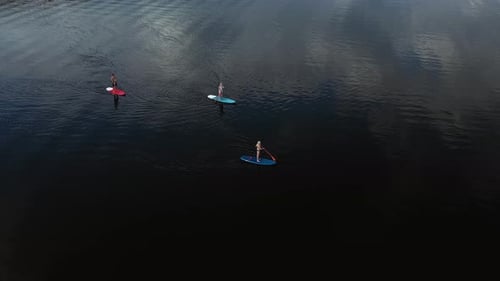 Top View of the Lake Where a Family Swims on Sup Boards at Sunset