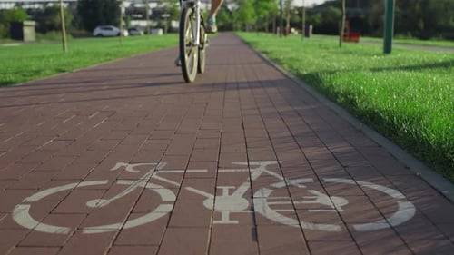 Bike Path Sign on the Asphalt