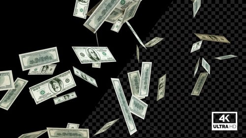 Falling US Dollar Bills Animation