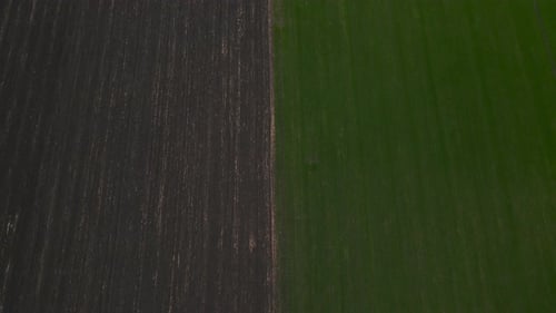 Aerial Drone Top View Flight Over Ground Land and Green Field Top Down View of Agriculgure Field
