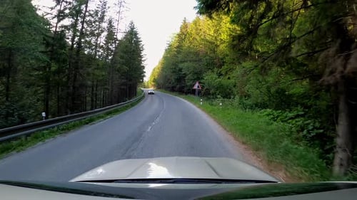 POV shot of driving a car on the road along the forest and mountains. Traveling in the summer by car