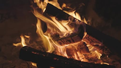 Brûlez du feu avec du bois sur un camp de plage