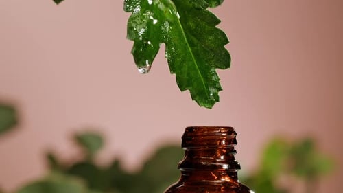 Perfumery