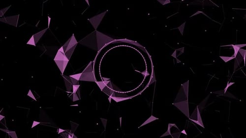 Plexus Digitales Netzwerk