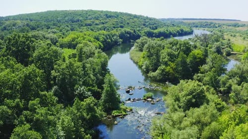 River flowing in forest. Aerial view of rural landscape