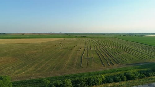 Aerial View Hay Bales at Agricultural Field in Summer at Sunset Haystack