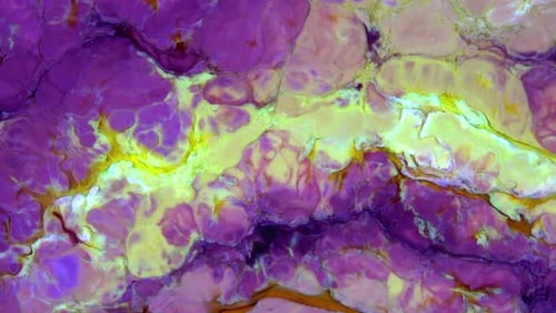 Abstract Organic Cosmic Colorful Texture Background