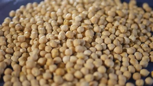 Pile of Fresh Chickpeas on Dark Blue Surface